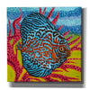 'Brilliant Tropical Fish II' by Carolee Vitaletti Giclee Canvas Wall Art