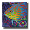 'Brilliant Tropical Fish I' by Carolee Vitaletti Giclee Canvas Wall Art