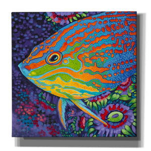'Brilliant Tropical Fish I' by Carolee Vitaletti Giclee Canvas Wall Art