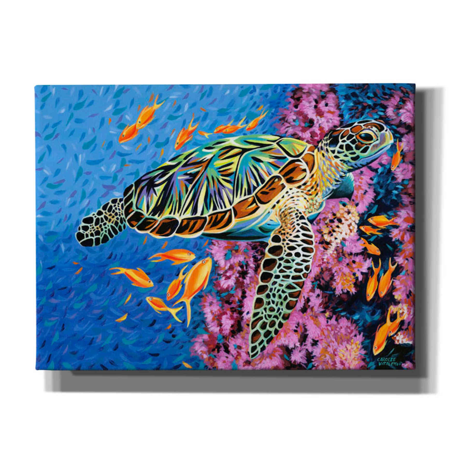 'Cruising Along II' by Carolee Vitaletti Giclee Canvas Wall Art