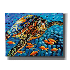 'Cruising Along I' by Carolee Vitaletti Giclee Canvas Wall Art