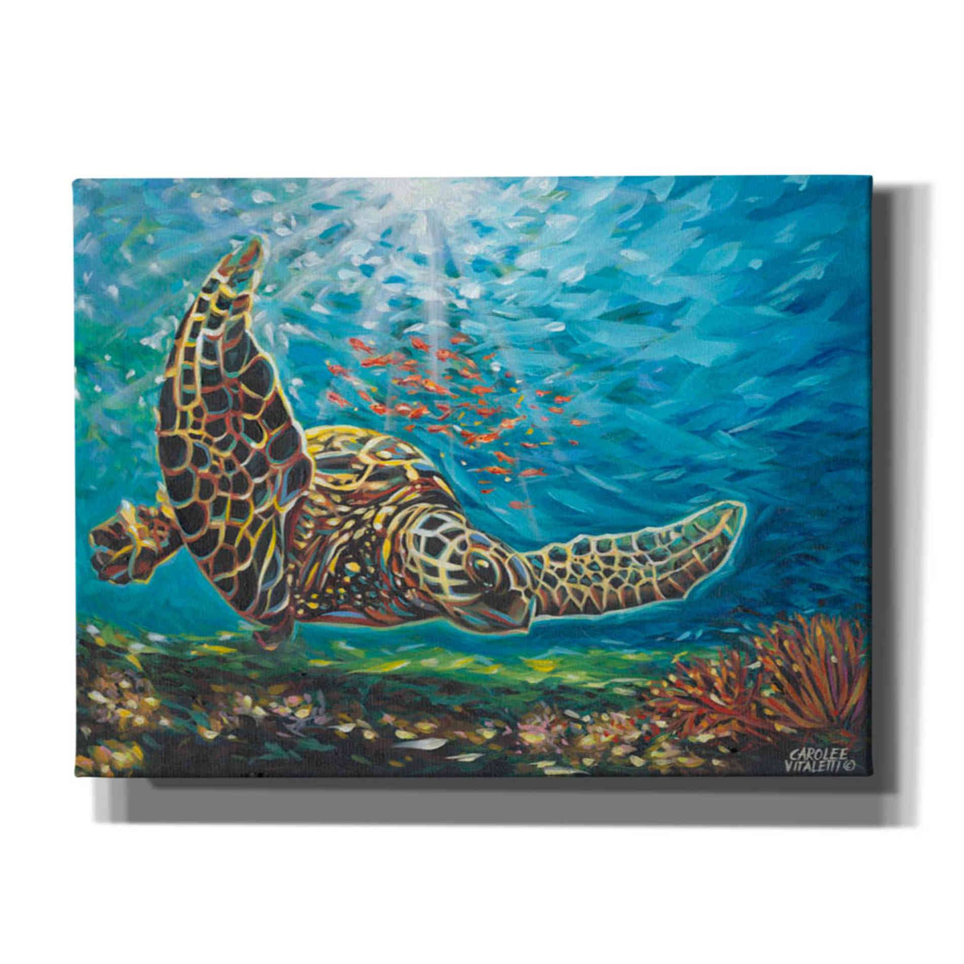 'Deep Sea Swimming I' by Carolee Vitaletti Giclee Canvas Wall Art