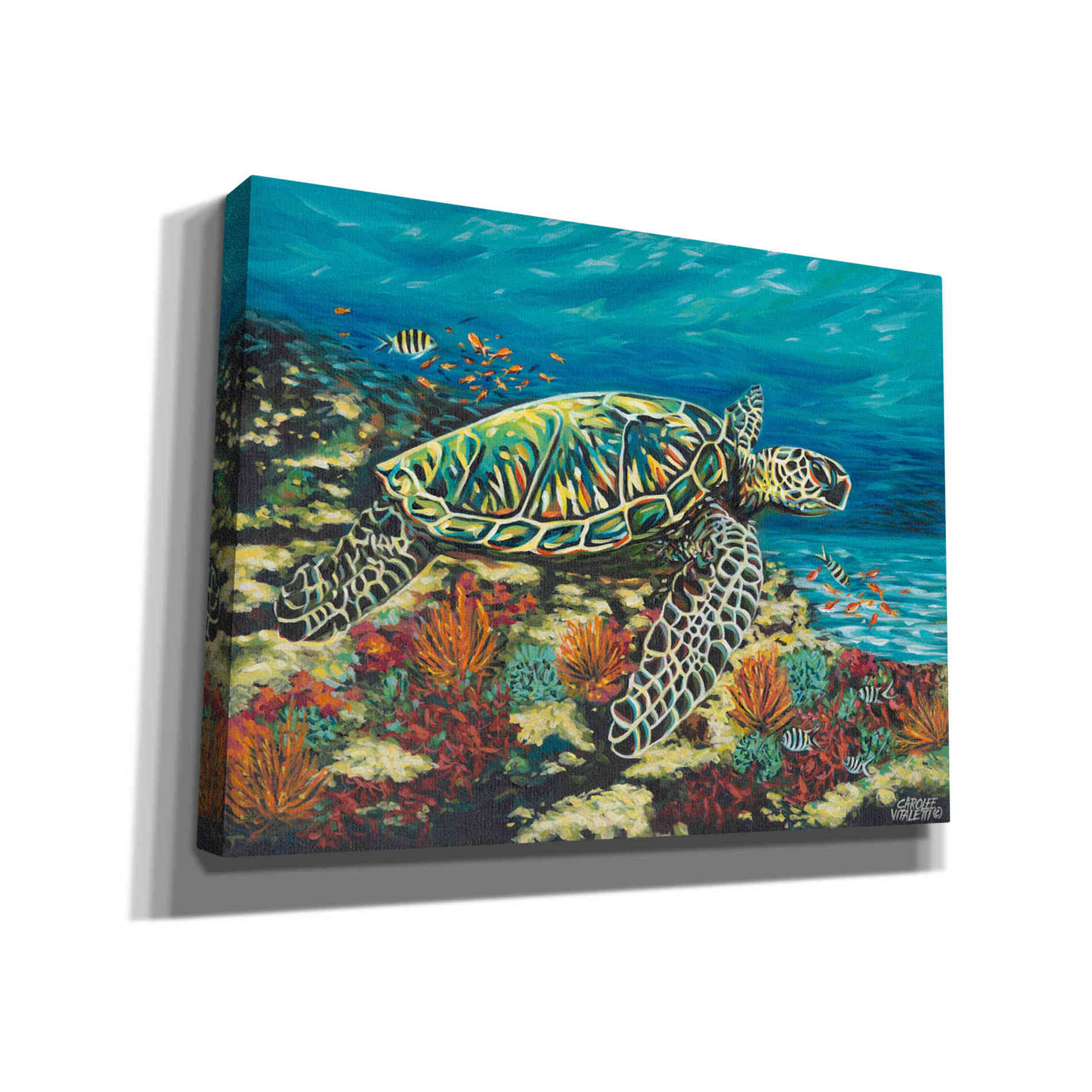 'Deep Sea Swimming II' by Carolee Vitaletti Giclee Canvas Wall Art