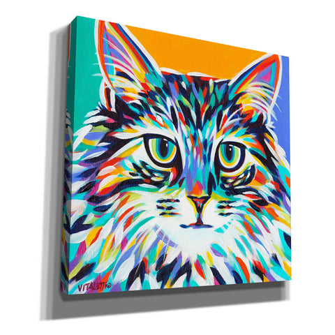 Image of 'Dramatic Cats I' by Carolee Vitaletti Giclee Canvas Wall Art