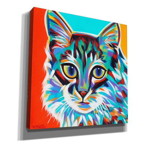 Image of 'Dramatic Cats II' by Carolee Vitaletti Giclee Canvas Wall Art
