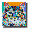 'Dramatic Cats I' by Carolee Vitaletti Giclee Canvas Wall Art