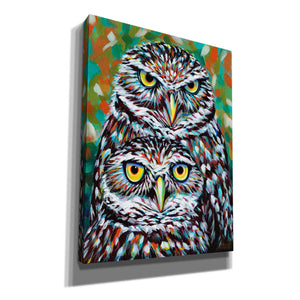'Furry Feather Friends I' by Carolee Vitaletti Giclee Canvas Wall Art