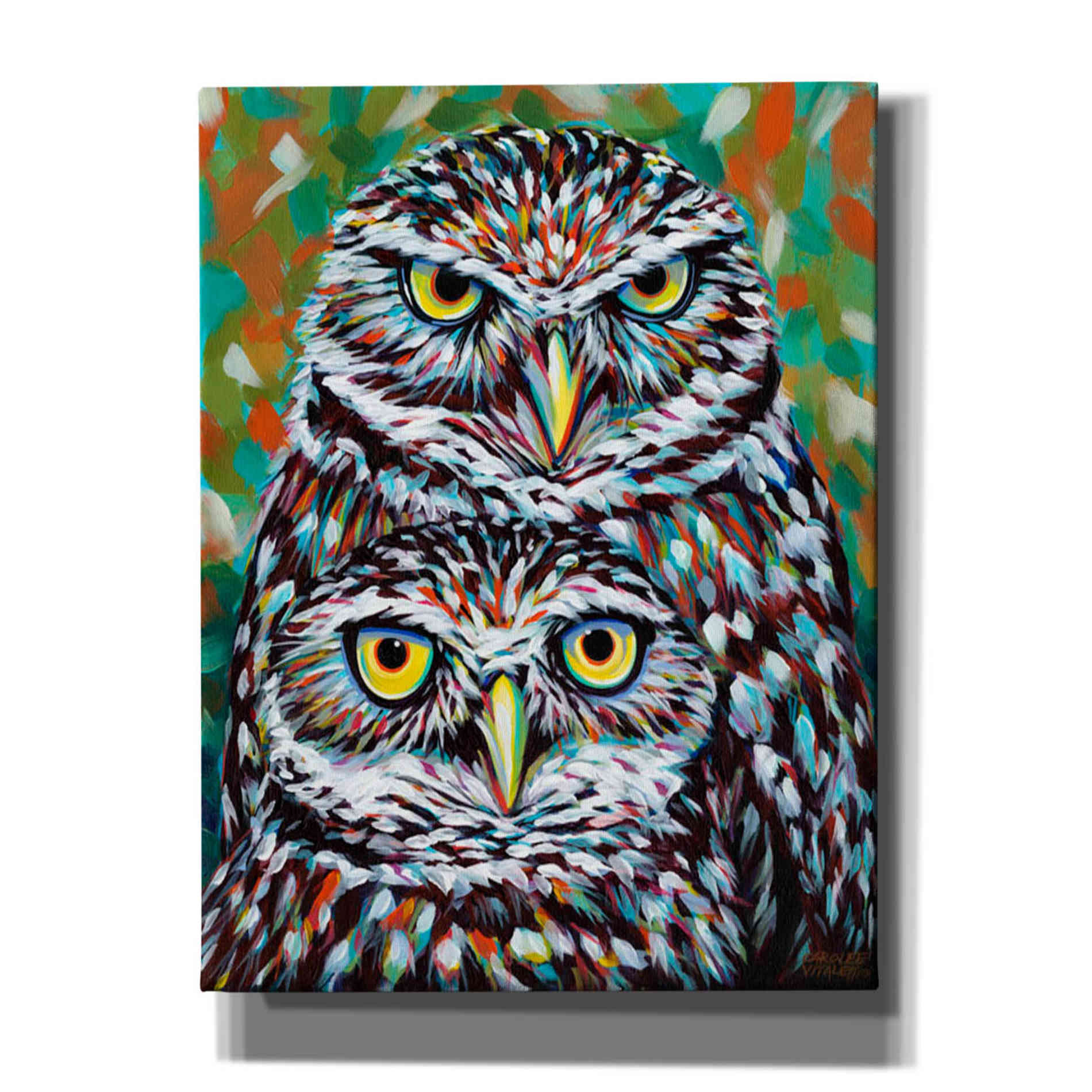'Furry Feather Friends I' by Carolee Vitaletti Giclee Canvas Wall Art