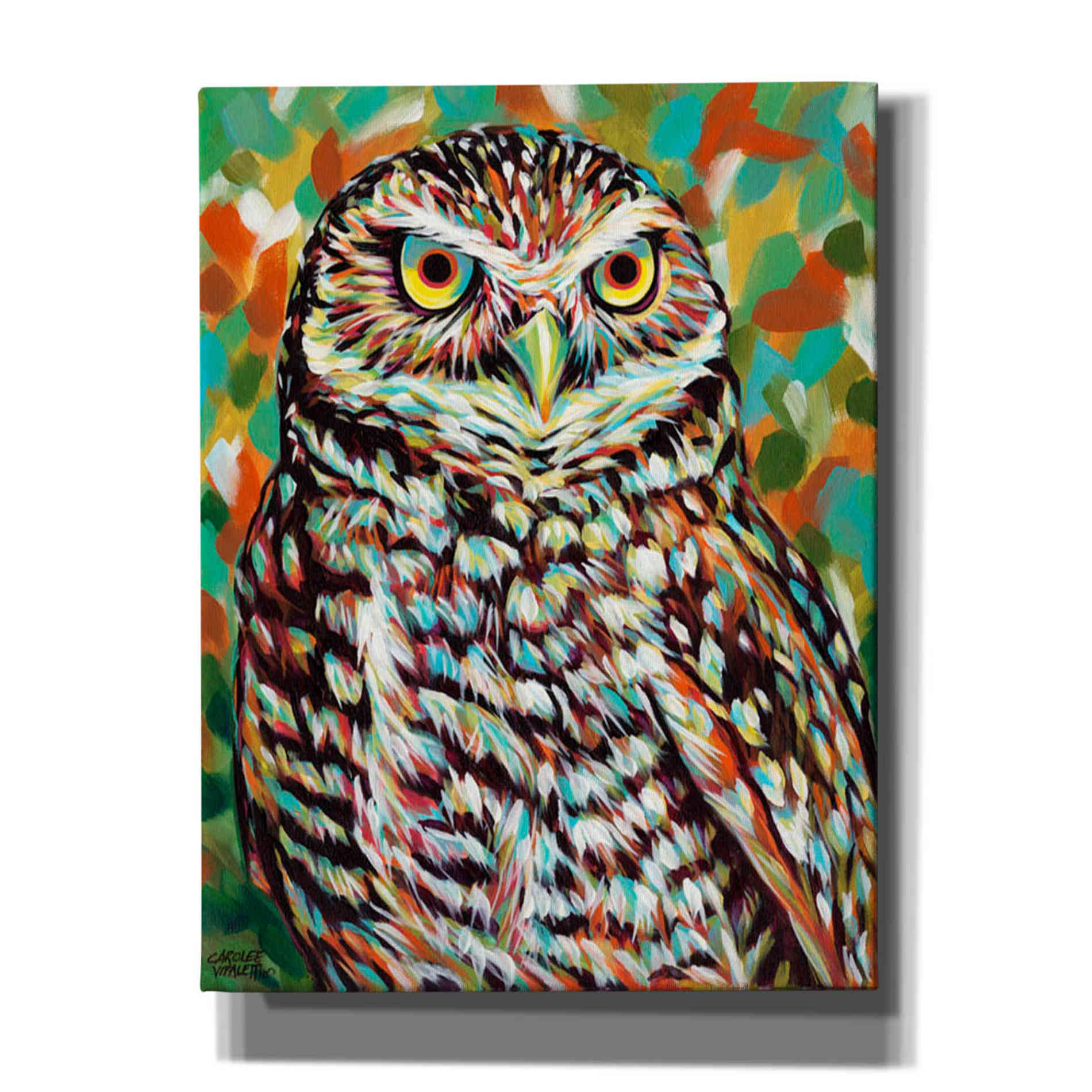 'Furry Feather Friends II' by Carolee Vitaletti Giclee Canvas Wall Art