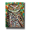 'Furry Feather Friends II' by Carolee Vitaletti Giclee Canvas Wall Art