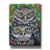 'Furry Feather Friends I' by Carolee Vitaletti Giclee Canvas Wall Art