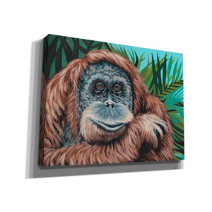 'Jungle Monkey I' by Carolee Vitaletti Canvas Wall Art,Size C Landscape