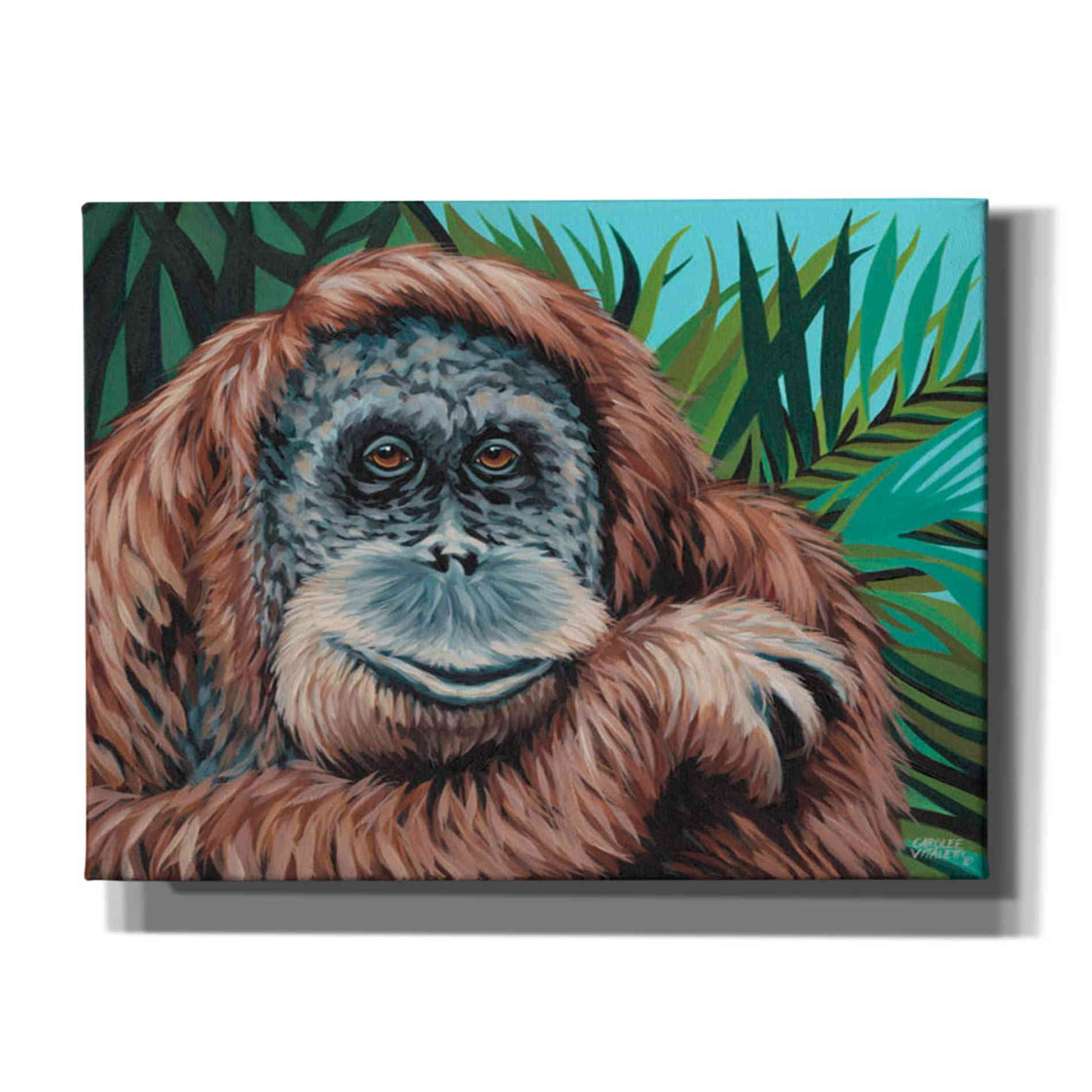 'Jungle Monkey I' by Carolee Vitaletti Canvas Wall Art,Size C Landscape