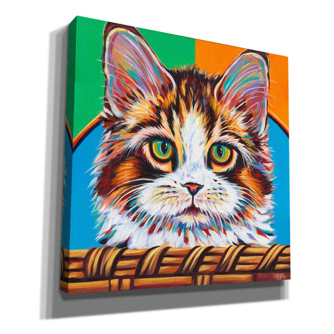 Image of 'Kitten in Basket II' by Carolee Vitaletti Giclee Canvas Wall Art