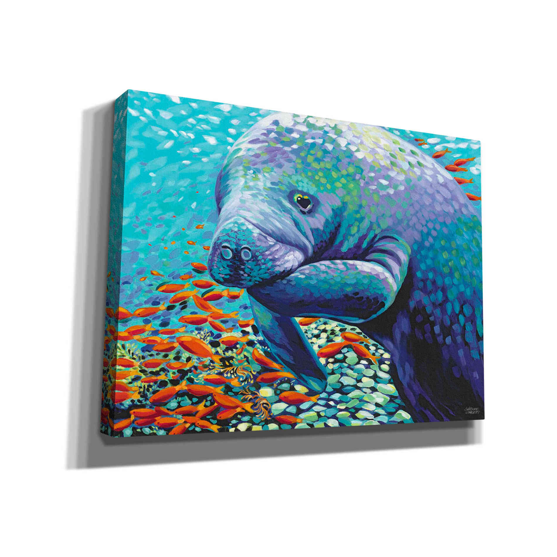 'Sea Sweetheart II' by Carolee Vitaletti Giclee Canvas Wall Art