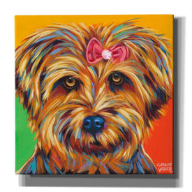 'Sweet Yorkie I' by Carolee Vitaletti Giclee Canvas Wall Art