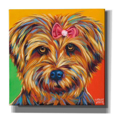 Image of 'Sweet Yorkie I' by Carolee Vitaletti Giclee Canvas Wall Art