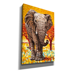 'Wild Africa I' by Carolee Vitaletti Giclee Canvas Wall Art