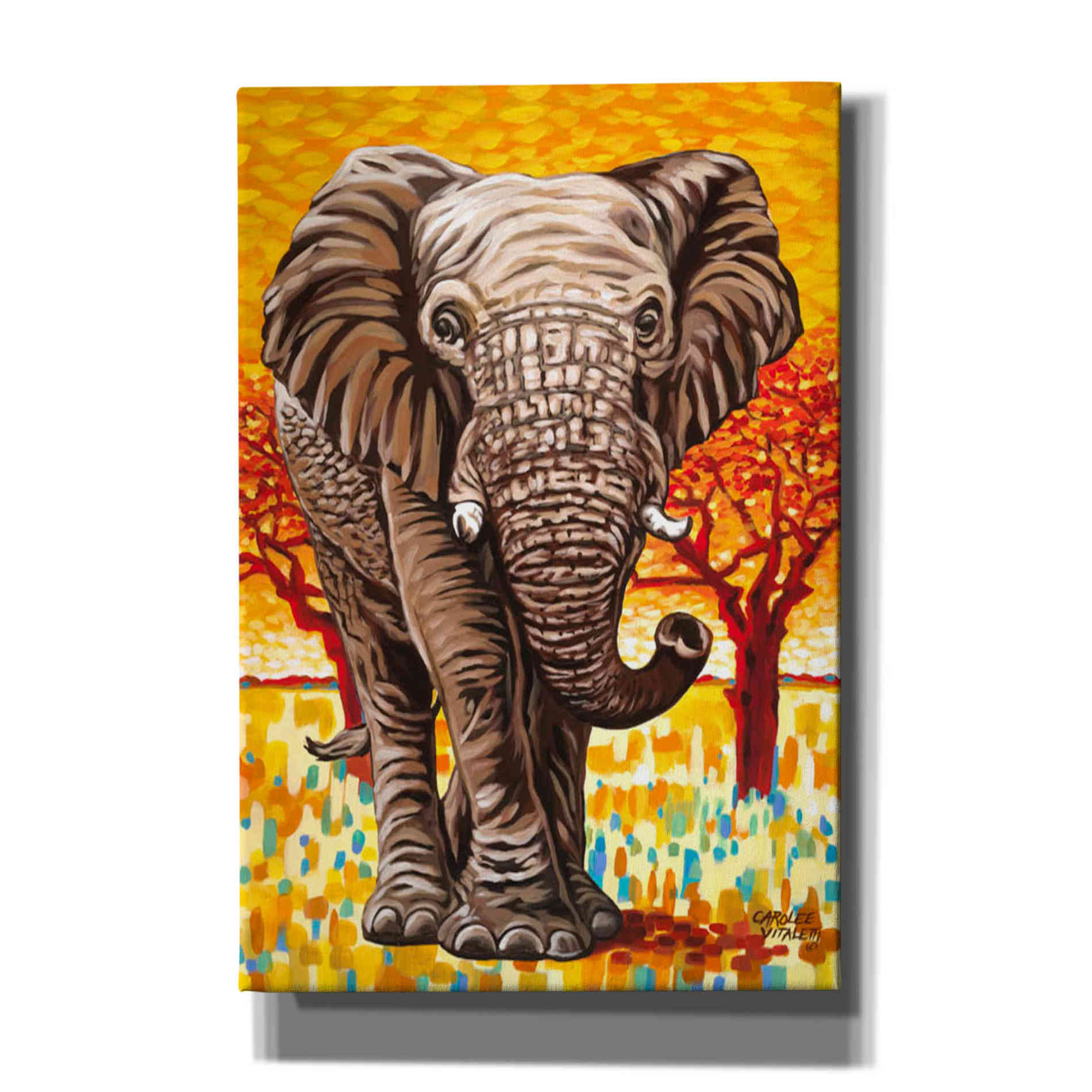 'Wild Africa I' by Carolee Vitaletti Giclee Canvas Wall Art