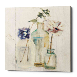 'Blossoms on Birch III' by Cheri Blum, Canvas Wall Art