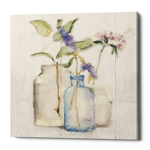 Image of 'Blossoms on Birch I' by Cheri Blum, Canvas Wall Art