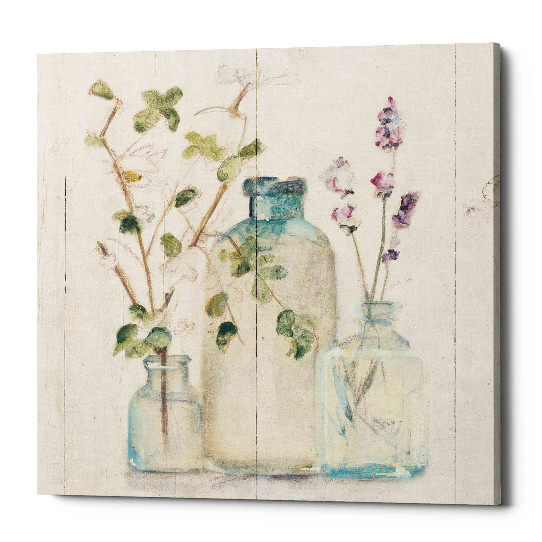 'Blossoms on Birch V' by Cheri Blum, Canvas Wall Art