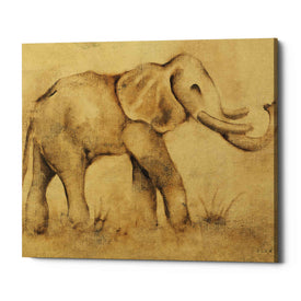 'Global Elephant Light Crop' by Cheri Blum, Canvas Wall Art