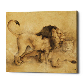 'Global Lions Light Crop' by Cheri Blum, Canvas Wall Art
