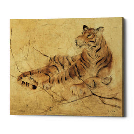 'Global Tiger Light Crop' by Cheri Blum, Canvas Wall Art