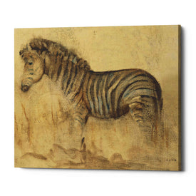 'Global Zebra Light Crop' by Cheri Blum, Canvas Wall Art