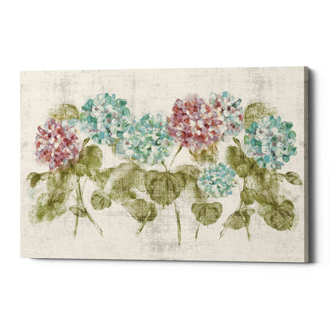 Image of 'Vibrant Row of Hydrangea No Border' by Cheri Blum, Canvas Wall Art
