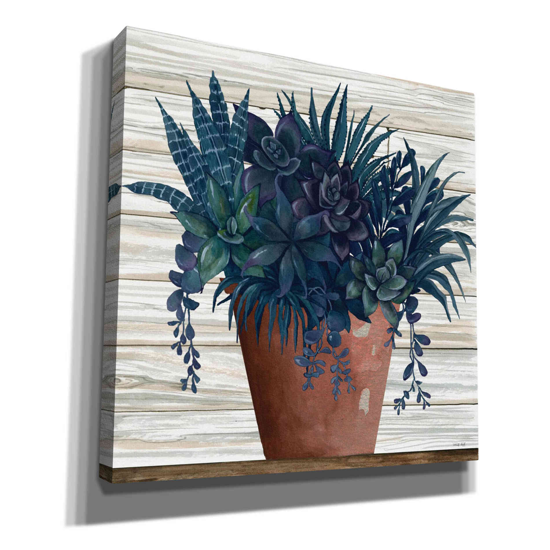 'Remarkable Succulents II' by Cindy Jacobs, Canvas Wall Art,Size 1 Square