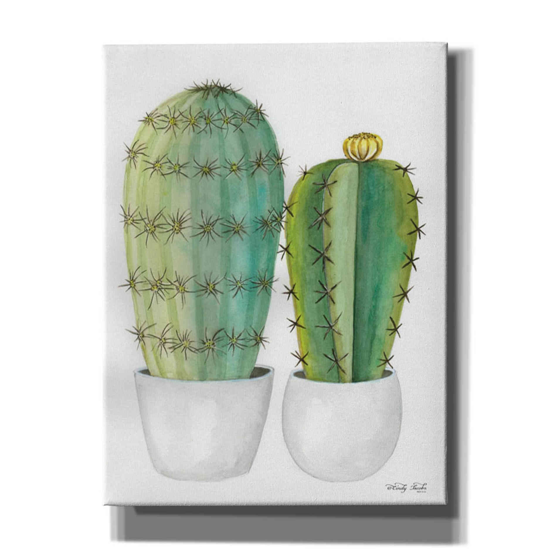 'Cactus Love' by Cindy Jacobs, Giclee Canvas Wall Art