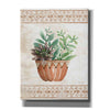 'Southwest Terracotta Succulents I' by Cindy Jacobs, Giclee Canvas Wall Art