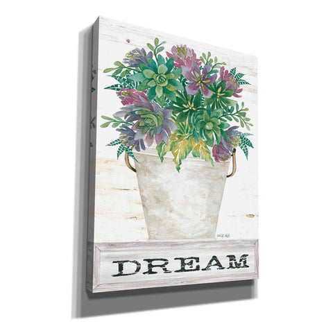 Image of 'Dream Succulents' by Cindy Jacobs, Canvas Wall Art,Size B Portrait