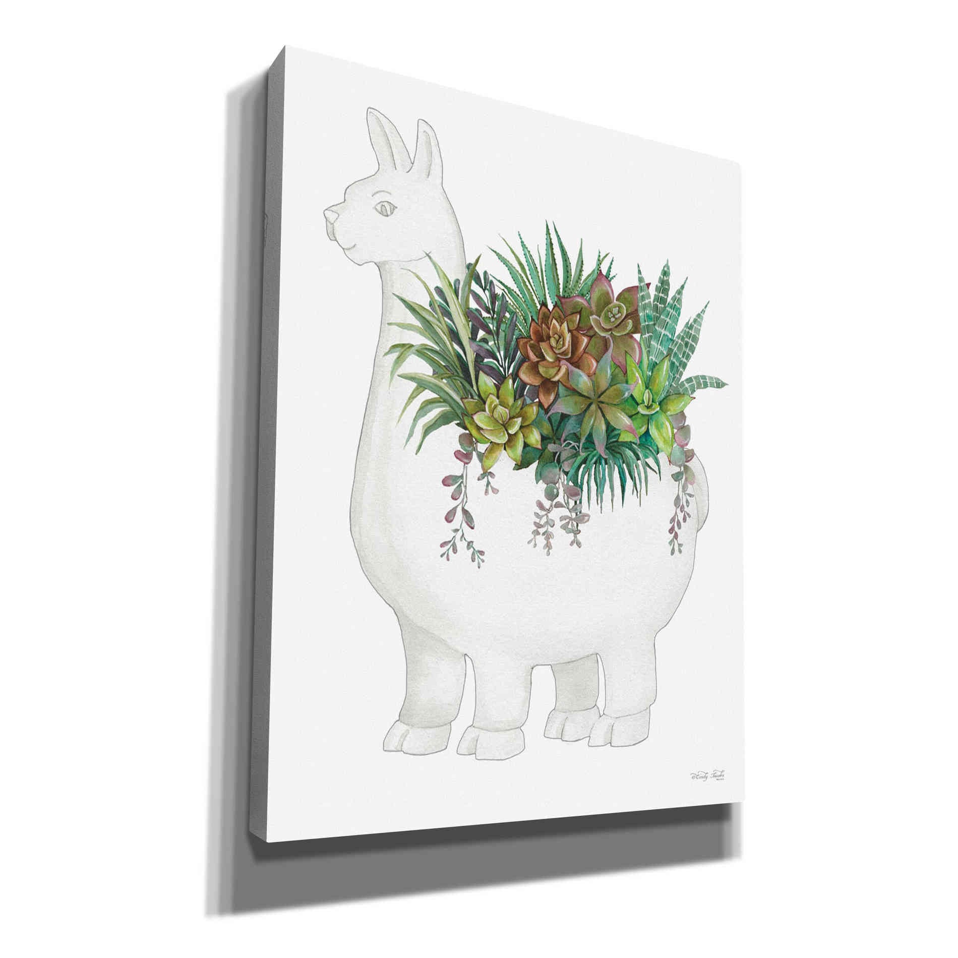 'Proud Llama Pot II' by Cindy Jacobs, Canvas Wall Art,Size B Portrait