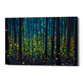 'FIREFLIES' by DB Waterman, Giclee Canvas Wall Art