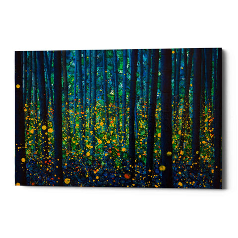 Image of 'FIREFLIES' by DB Waterman, Giclee Canvas Wall Art