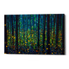 'FIREFLIES' by DB Waterman, Giclee Canvas Wall Art