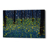 'LUMINOUS' by DB Waterman, Canvas Wall Art