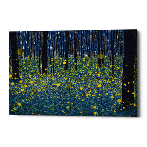 'LUMINOUS' by DB Waterman, Canvas Wall Art