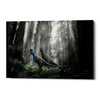 'Breeding Season' Canvas Wall Art