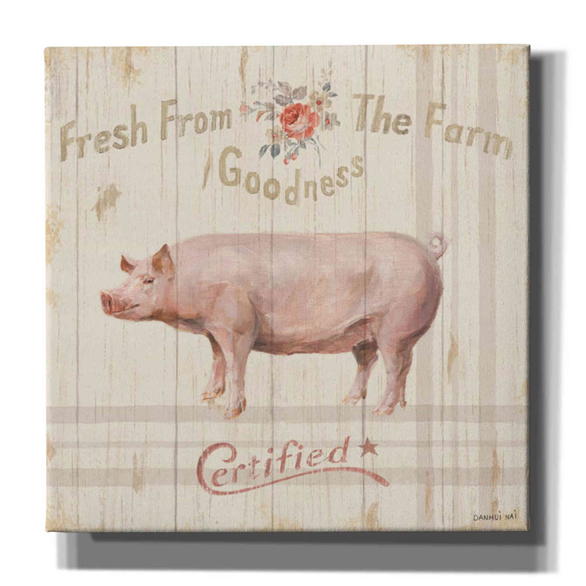 'Farm Patchwork VI' by Danhui Nai, Canvas Wall Art,Size 1 Sqaure