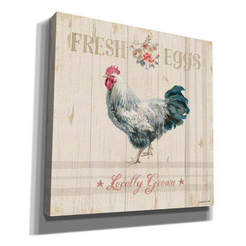 Image of 'Farm Patchwork VIII' by Danhui Nai, Canvas Wall Art,Size 1 Sqaure