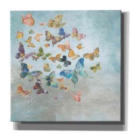 'Beautiful Butterflies v3 Square' by Danhui Nai, Canvas Wall Art,Size 1 Sqaure