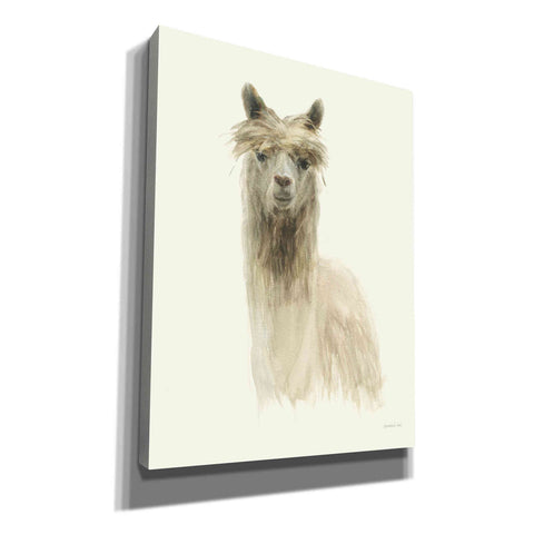 Image of 'Classic Llamas I' by Danhui Nai, Canvas Wall Art,Size B Portrait