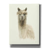 'Classic Llamas I' by Danhui Nai, Canvas Wall Art,Size B Portrait