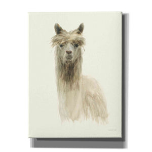 'Classic Llamas I' by Danhui Nai, Canvas Wall Art,Size B Portrait