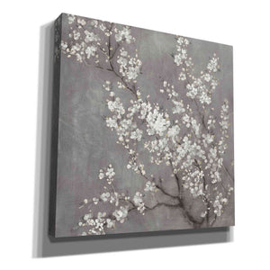 'White Cherry Blossom II on Grey' by Danhui Nai, Canvas Wall Art