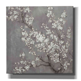 'White Cherry Blossom II on Grey' by Danhui Nai, Canvas Wall Art